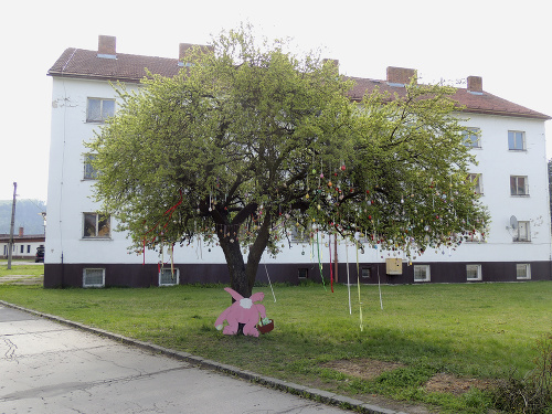 Veľkonočný strom v Hliníku nad Hronom zdobí viac ako 700 kraslíc. 