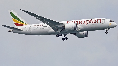 Predbežné výsledky pádu lietadla Ethiopian Airlines.