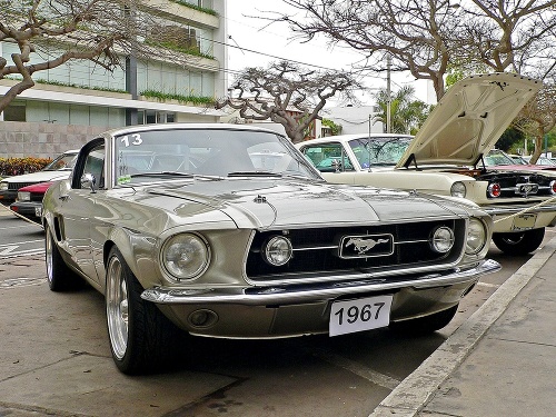 V autoservise mal zhorieť aj bližšie neurčený model značky Ford Mustang.