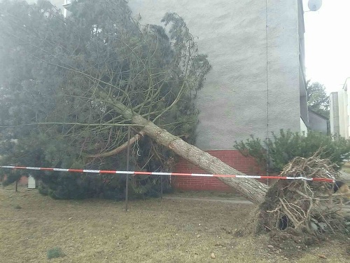 Najvážnejšia situácia je v Žilinskom kraji, kde hasiči zasahujú najčastejšie. 