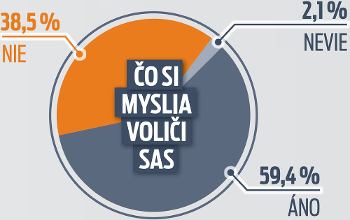 Čo si myslia voliči SaS?