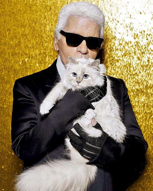 Karl sa správal k mačke ako ku svojmu dieťaťu.