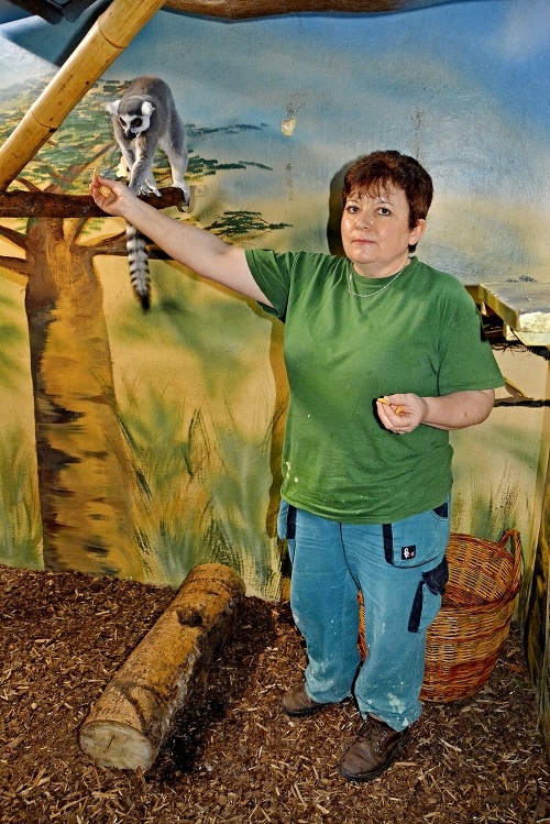Helena Baloghová (50), ošetrovateľka lemurov