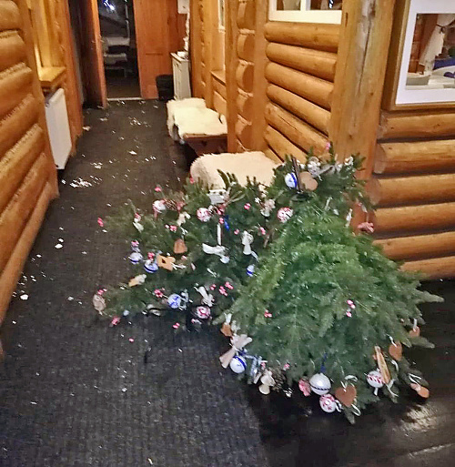 Partička kamarátov neušetrila ani vianočný stromček.