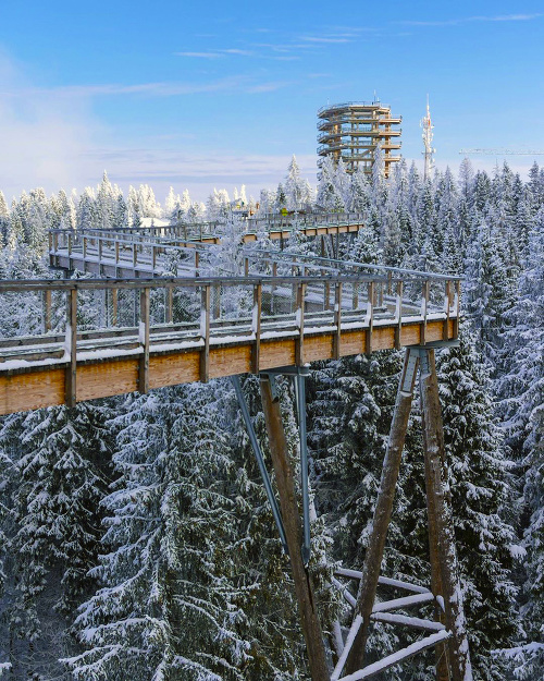 Chodník korunami stromov (Spišská Magura)