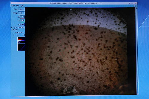 Prvá fotka z Marsu od sondy InSight