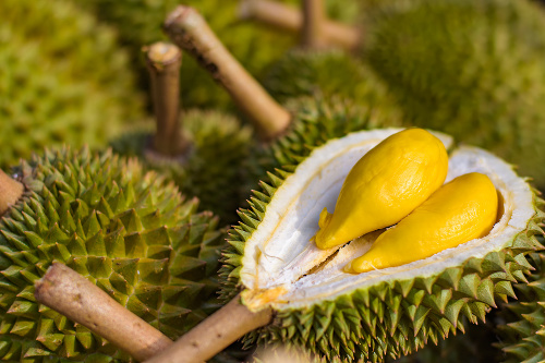 King of fruits in Thaialnd, durian background