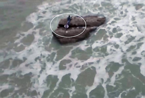 VIDEO: Na internete sa objavilo video neznámeho tvora, ktorý sa podobal na morskú pannu.