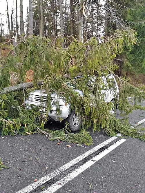 Na cestu z Tatranskej Javoriny k hraniciam s Poľskom spadlo asi 20 stromov. Jeden zasiahol auto, kde sa ľahko zranil vodič.