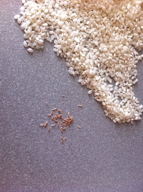 Čitateľka našla prekvapenie v ryži v podobe nečakaných bielkovín.