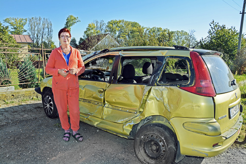 Vlaste (62) zdemoloval autobus auto a plot a zaparkoval v záhrade.