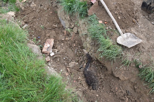 Na smrť dobitého psa našli zakopaného v jame aj s tehlou.