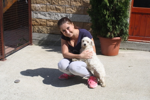 Veronika (27) zachránila 12 vyhodených psíkov. Malé biele klbká boli hrozne vystrašené.