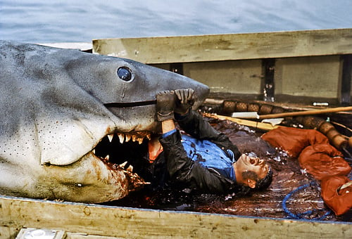 Čeľuste: Prehnané filmové scény spravili žralokom zlé meno.
