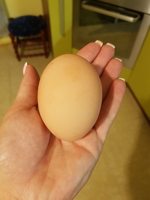 Vajíčko malo cez 100 gramov.