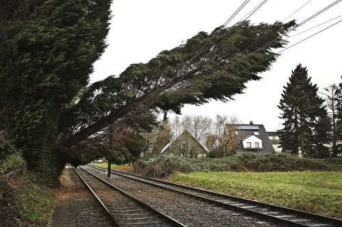 Spadnute stromy komplikovali železničnú dopravu.