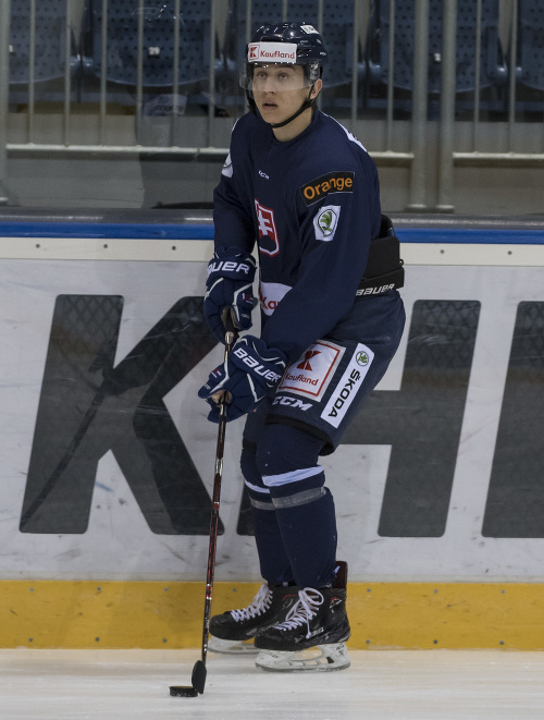 Martin Fehérváry len nedávno podpísal zmluvu so švédskym tímom HV 71 Jönköping.