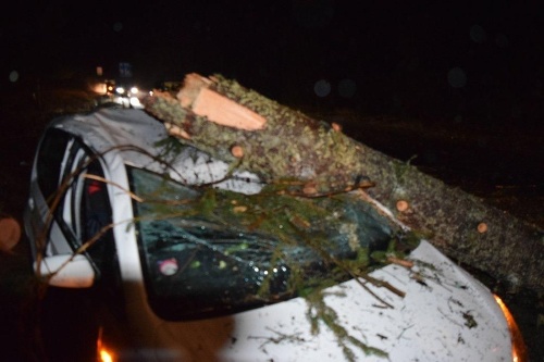 Vyvrátený strom spadol na auto, kde sedel mladý muž.