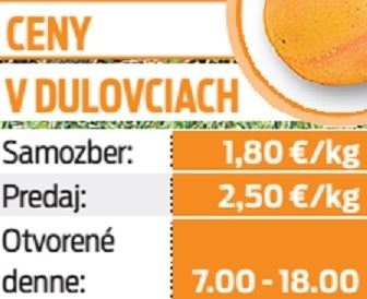 Ceny v Dulovciach.