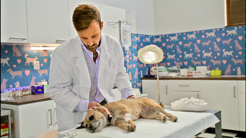 Herec hrá v seriáli veterinára Tomáša.
