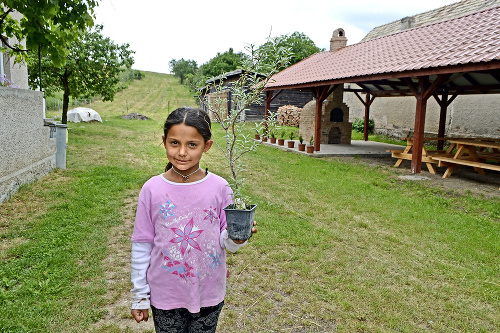 Malá Monika (10) sa už teší, keď bude mať rakytník prvé plody.