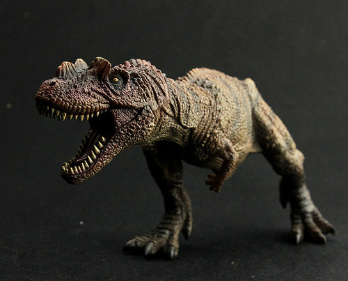 Ceratosaurus.