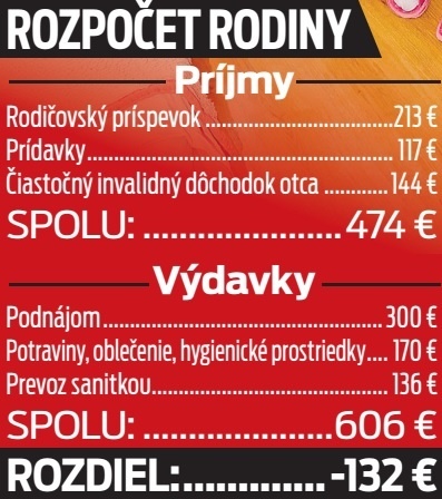 Rozpočet rodiny.