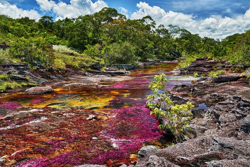PASTVA PRE OČI: Nádherné farby rieky nespôsobujú vodné riasy ani mach.