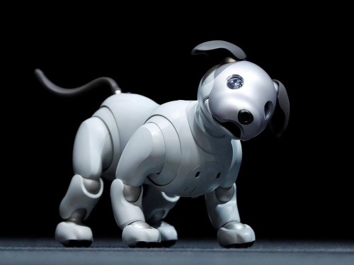 Robotický pes Aibo.