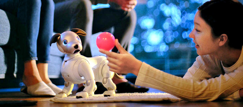 Robotický pes Aibo.