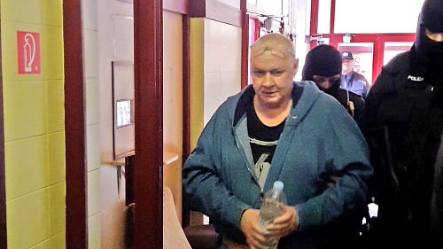 Lehela Horvátha (54) vzala sudkyňa do väzby.