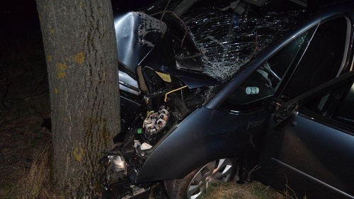 Marec 2017 - Vodič osobného auta na ceste medzi Šoporoňou a Šintavou zahynul pri náraze do stromu.