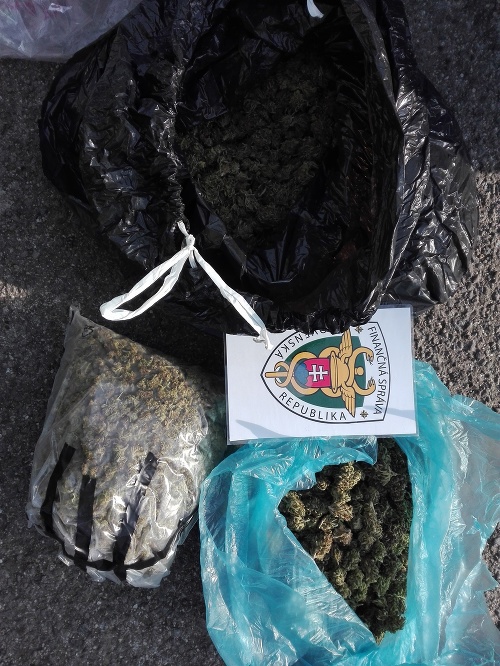 Pes Hugo a colníci v okrese Trenčín chytili vodiča, ktorý v taške prevážal 2 kilogramy marihuany.