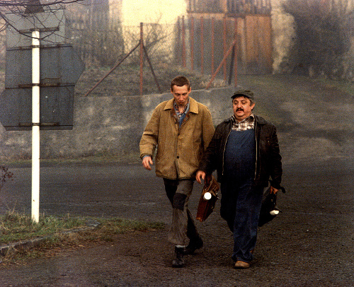 1985 - Labudu preslávil kultový film Vesničko má středisková.