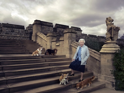 Kráľovná svojich zvieracích miláčikov zbožňuje.