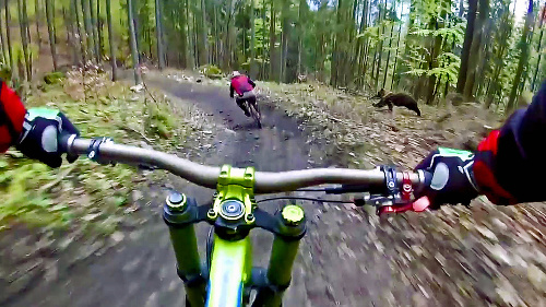 Český biker Alan Pukowiec, ktorý sa v lete preslávil videom, na ktorom jeho kamoša na bicykli naháňa po liptovských horách medveď