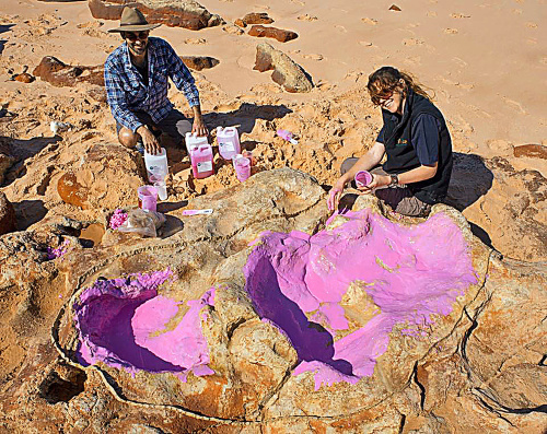 Vedci pri skúmaní objavu v austrálskom Jurskom parku. 