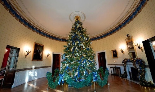 Oficiálny vianočný stromček Bieleho domu umiestnený v Modrej izbe.