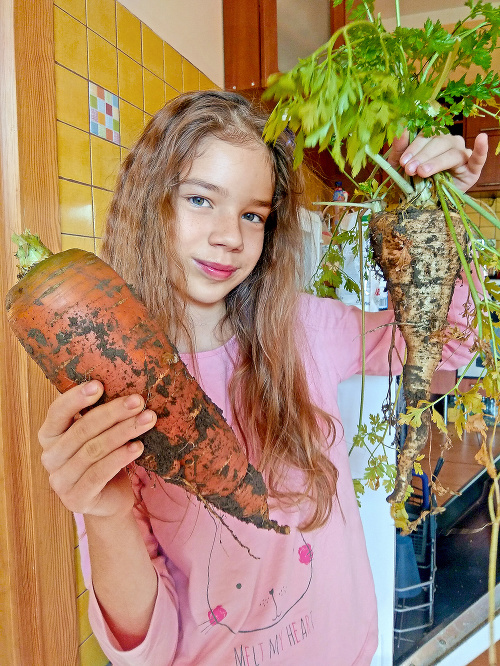 Alexandra (11) dopestovala gigantickú zeleninu.