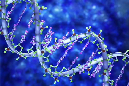 DNA: Je ako náš odtlačok prsta. Každý človek okrem jednovaječných dvojičiek je unikátny