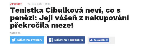 Český Blesk si takto podal Cibulkovú.