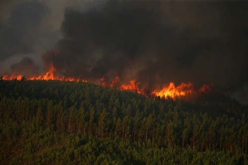 Hasiči sa snažia dostať lesné požiare pod kontrolu. 