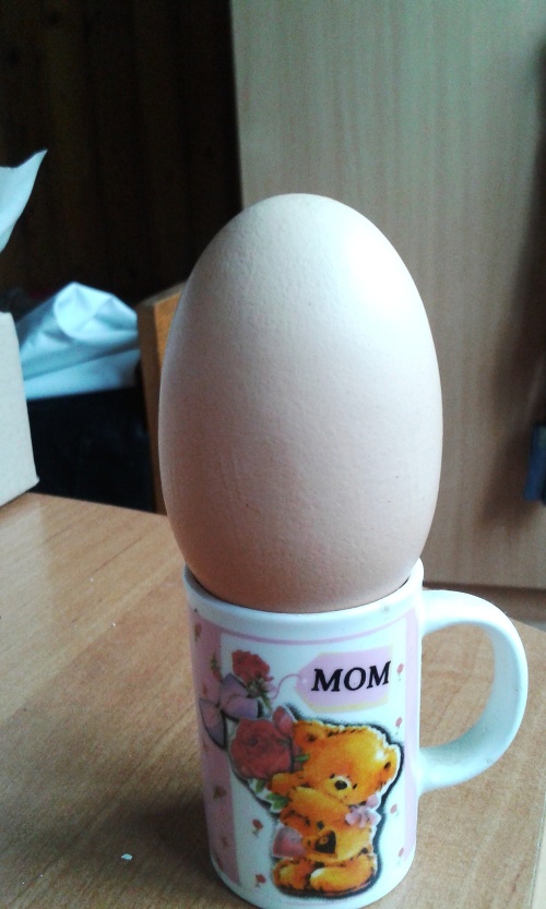 Vajíčko sa ledva zmestilo do hrnčeka.