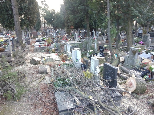 Hrôza na cintoríne v Petržalke.