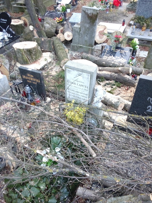 Hrôza na cintoríne v Patržalke.