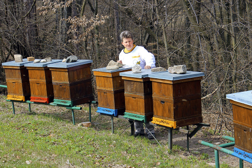 Jozef Voľanský má úle v lesoch pri Bardejove.