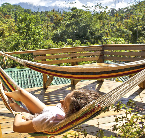 Relax: Takto sa oddychuje na strome uprostred džungle.
