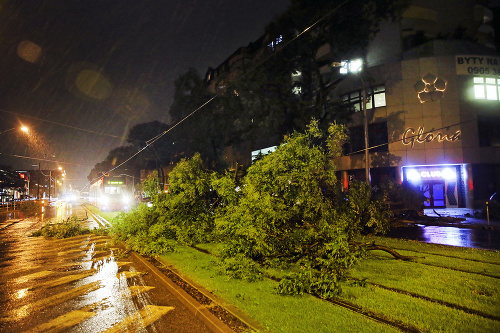 Stromy v Bratislave popadali aj na električkové trate
