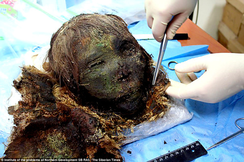 Hlava 900-ročnej múmie  je v nezvyčajne dobrom stave.