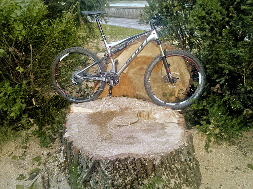 Vyrúbané stromy majú mne veľké ako bicykel.